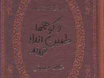 و کوهها طنین انداز شدند (خالد حسینی . منصوره وحدتی احمد زاده . جیبی چرم پارمیس)