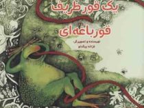 یک قور ظریف قورباغه ای (غزاله بیگدلو)