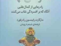 افسردگی نهفته : راه رهایی از کمال طلبی (مارگارت رابینسون رادرفورد . شبنم درویش)