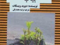 نیرویت را در سختی ها بیاب(دیوید ویسکات . مرضیه محمد بکی)