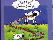 ترس فرفری از گم شدن مامانش (اینگرام. مایر، صبا رفیع)