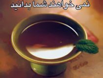 درمان های طبیعی که آن ها نمی خواهند شما بدانید (کوین ترادو . لادن شریعت زاده)