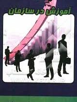 تجربه آموزش در سازمان (پالتویی)( سید مجید میر شفیعی )