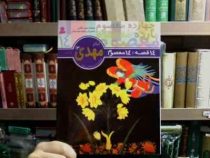14قصه 14معصوم :امام مهدی (عج) .برای دبستانی ها (حسن فتاحی . محمدرضا دادگر)