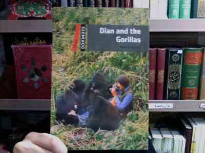 dian and the gorillas