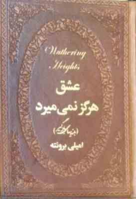 عشق هرگز نمی میرد (بلندی های بادگیر) (جیبی چرم پارمیس)