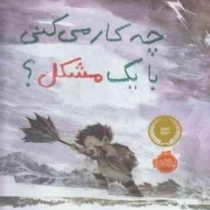 چه کار می کنی با یک مشکل ؟ (کوبی یامادا.می بسوم.فرمهر منجزی)