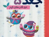 دفترچه خاطرات جغد 5 عید قلب های گرم