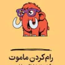 رام کردن ماموت :چگونه به نشخوار فکری پایان دهیم (جردن پترسون،آلن دوباتن،مارک منسن.ناهید ملکی9