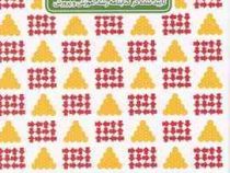 چالش هوش . سطح متوسط (ایمان کامل جهرمی . زهرا کمپانی والا)