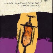درباره ی مطالعات فرهنگی (استوارت هال . آنجلا مک رابی . تونی بنت . گرایم ترنر و... ، ترجمه جمال محمدی