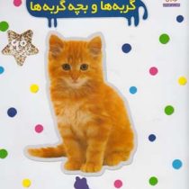 بچسبان و بیاموز 15 : گربه ها و بچه گربه ها (نیما سلامیان)