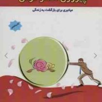 پیروزی افکار موفق :میانبری برای بازگشت به زندگی (گیل لیندن فیلد.الهام مبارکی زاده)
