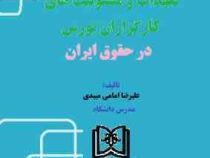 بررسی تعهدات و مسئولیت های کارگزاران بورس در حقوق ایران (علیرضا امامی میبدی)