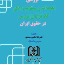 بررسی تعهدات و مسئولیت های کارگزاران بورس در حقوق ایران (علیرضا امامی میبدی)