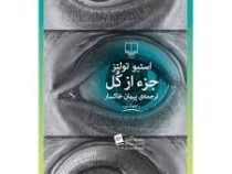 جزء از کل (استیو تولتز -پیمان خاکسار)