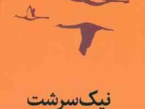 نیک سرشت : راهنمای تبدیل شدن به والدی که میخواهید باشید (بکی کندی . شقایق الکائی)
