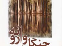 جنگل وارونه (جی دی سلینجر، علی شیعه علی)