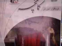 نرم افزار آموزش کمانچه