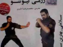 نرم افزار.آموزش هنر رزمی کیوشو