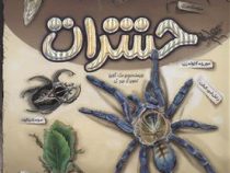 حشرات : کتاب سه بعدی (جورج مک گاوین، نگار ذوالفقاریان)