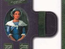 در جریان انقلاب فرانسه: دفتر خاطرات لوییز مدره اک (1791 - 1789)، (دومینیک ژولی/ شیدا لاجوردی ، پژمان