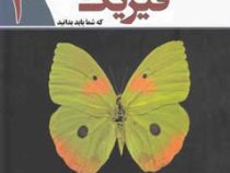 نظریه های تاثیرگذار در علم فیزیک که شما باید بدانید 2