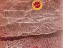 تابستان دلپذیر (کورینا بومان - منیژه نصیری)