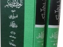 تاویلات قرآن حکیم مشهور به تفسیر ابن عربی عبدالرزاق کاشانی ترجمه جواد هاشمی علیا (دوره 2 جلدی قابدار