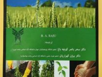 کاربرد کودهای شیمیایی در کشاورزی پایدار