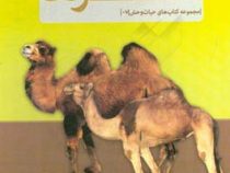 مجموعه کتاب های حیات وحش 7 شترها (جان بانت وکسو . مهدی رضایی)