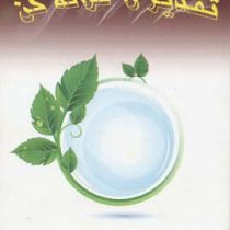 تقدیر را ترانه کن (فائزه حبابی)