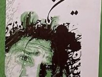 زندگی و اشعار (حسین پناهی)