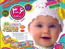 پک کتاب و نرم افزار شیوه های تقویت هوش نوزاد 3 تا 6 ماهه