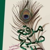 مرقع صد رنگ : 100 رباعی از بیدل (گزینش و شرح محمد کاظم کاظمی)