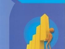 مدیریت کسب و کار و بهره وری (مهدی سعیدی کیا.فیروزه طبیب زاده . گروه آموزشی آها)