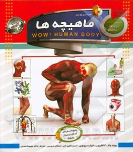 دانستنی هایی درباره ی بدن انسان غدد درون ریز سی دی