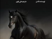اسب سیاه (تاد رز اکی اکاس . علی باوی)