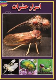 اسرار حشرات (فاطمه سروش راد)
