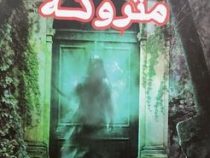 تیمارستان متروکه (دن پبلاکی . فاطمه جالینوسی)