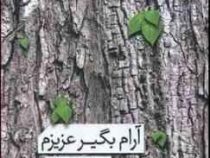 آرام بگیر عزیزم (جمال میرصادقی)