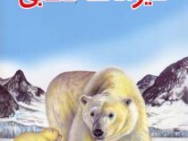 دانستنیهایی درباره حیوانات قطبی