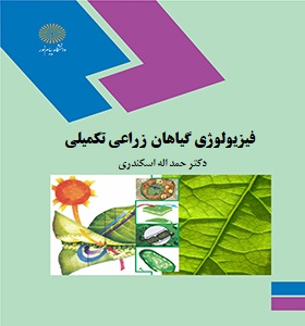 فیزیولوژی گیاهان زراعی تکمیلی