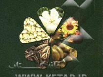 زراعت گیاهان صنعتی (احمد افکاری)