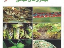 بیماری شناسی گیاهی و بیماری های گیاهی (علی روستایی)