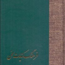 دوره 2 جلدی فرهنگ کنایات سخن (حسن انوری)