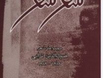 سفر شعر (ضیاء الدین ترابی)