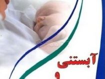 آبستنی و زایمان (ویلیام برچ، رضا نبیی)