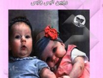 پسر می خواهید یا دختر ؟ (رابین الیزه ویس . فاطمه مظاهری)