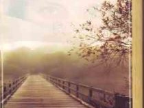 ترنم مهر در فصل آبی و مه (فریده رهنما)
